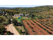 Moradia T5 - Silves, Silves, Faro (Algarve) - Miniatura: 1/9