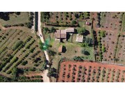 Moradia T5 - Silves, Silves, Faro (Algarve) - Miniatura: 5/9