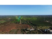 Moradia T5 - Silves, Silves, Faro (Algarve) - Miniatura: 8/9