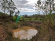 Terreno R�stico - Mexilhoeira Grande, Portim�o, Faro (Algarve) - Miniatura: 2/9