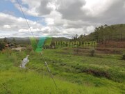 Terreno R�stico - Mexilhoeira Grande, Portim�o, Faro (Algarve) - Miniatura: 4/9