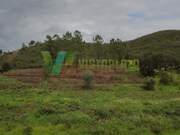 Terreno R�stico - Mexilhoeira Grande, Portim�o, Faro (Algarve) - Miniatura: 6/9