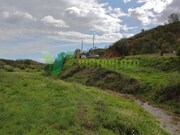 Terreno R�stico - Mexilhoeira Grande, Portim�o, Faro (Algarve) - Miniatura: 7/9