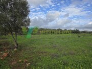 Terreno R�stico - Paderne, Albufeira, Faro (Algarve) - Miniatura: 1/9