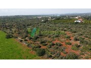 Terreno R�stico - Paderne, Albufeira, Faro (Algarve) - Miniatura: 5/9
