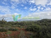 Terreno R�stico - Paderne, Albufeira, Faro (Algarve) - Miniatura: 6/9