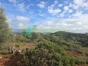 Terreno R�stico - Paderne, Albufeira, Faro (Algarve) - Miniatura: 7/9
