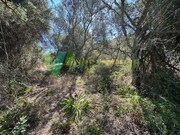 Terreno R�stico - S�o Bartolomeu de Messines, Silves, Faro (Algarve) - Miniatura: 4/9
