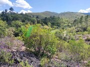 Terreno R�stico - Sab�ia, Odemira, Beja - Miniatura: 3/9
