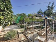 Moradia T1 - Mexilhoeira Grande, Portim�o, Faro (Algarve) - Miniatura: 3/9