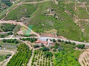 Outros - Alferce, Monchique, Faro (Algarve) - Miniatura: 1/9