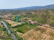 Outros - Alferce, Monchique, Faro (Algarve) - Miniatura: 2/9