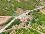 Outros - Alferce, Monchique, Faro (Algarve) - Miniatura: 3/9