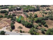 Terreno R�stico - S�o Bartolomeu de Messines, Silves, Faro (Algarve) - Miniatura: 3/9