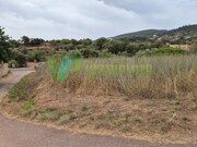 Terreno R�stico - S�o Bartolomeu de Messines, Silves, Faro (Algarve) - Miniatura: 4/9