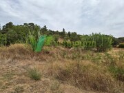 Terreno R�stico - S�o Bartolomeu de Messines, Silves, Faro (Algarve) - Miniatura: 6/9