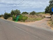 Terreno R�stico - S�o Bartolomeu de Messines, Silves, Faro (Algarve) - Miniatura: 7/9