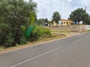 Terreno R�stico - S�o Bartolomeu de Messines, Silves, Faro (Algarve) - Miniatura: 9/9