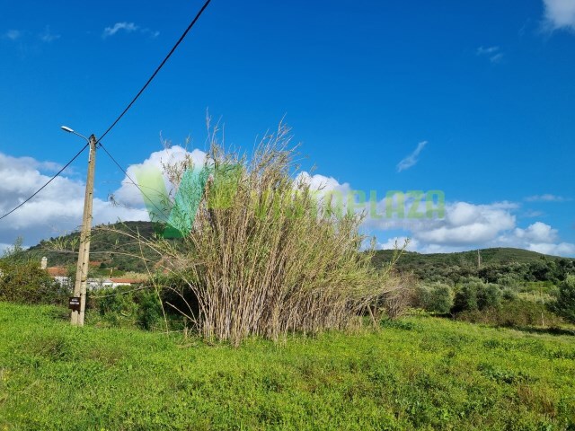 Terreno Rústico - São Bartolomeu de Messines, Silves, Faro (Algarve) - Imagem grande