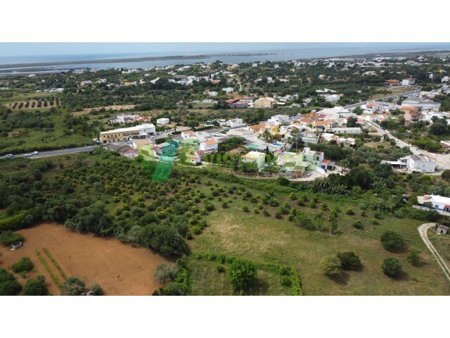 Terreno R�stico - Moncarapacho, Olh�o, Faro (Algarve) - Imagem grande