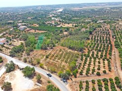 Terreno Rstico - Silves, Silves, Faro (Algarve)
