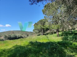 Terreno R�stico - Bensafrim, Lagos, Faro (Algarve)