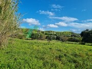 Terreno Rstico - So Bartolomeu de Messines, Silves, Faro (Algarve) - Miniatura: 4/9