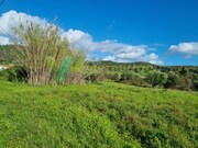 Terreno Rstico - So Bartolomeu de Messines, Silves, Faro (Algarve) - Miniatura: 5/9