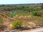 Terreno Rstico - Silves, Silves, Faro (Algarve) - Miniatura: 4/9