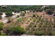 Terreno Rstico - Silves, Silves, Faro (Algarve) - Miniatura: 8/9