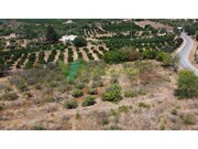Terreno Rstico - Silves, Silves, Faro (Algarve) - Miniatura: 9/9