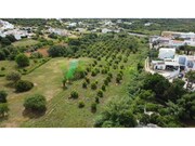 Terreno R�stico - Moncarapacho, Olh�o, Faro (Algarve) - Miniatura: 1/9