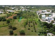 Terreno R�stico - Moncarapacho, Olh�o, Faro (Algarve) - Miniatura: 2/9