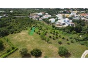 Terreno R�stico - Moncarapacho, Olh�o, Faro (Algarve) - Miniatura: 3/9