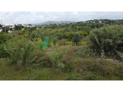 Terreno R�stico - Moncarapacho, Olh�o, Faro (Algarve) - Miniatura: 6/9