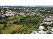 Terreno R�stico - Moncarapacho, Olh�o, Faro (Algarve) - Miniatura: 7/9