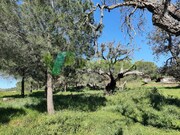 Terreno R�stico - Bensafrim, Lagos, Faro (Algarve) - Miniatura: 1/8