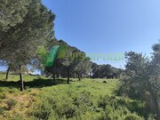Terreno R�stico - Bensafrim, Lagos, Faro (Algarve) - Miniatura: 2/8