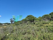 Terreno R�stico - Bensafrim, Lagos, Faro (Algarve) - Miniatura: 3/8