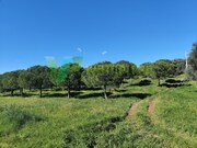 Terreno R�stico - Bensafrim, Lagos, Faro (Algarve) - Miniatura: 4/8