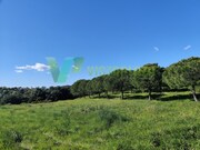 Terreno R�stico - Bensafrim, Lagos, Faro (Algarve) - Miniatura: 5/8