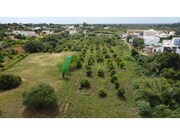 Terreno R�stico - Moncarapacho, Olh�o, Faro (Algarve) - Miniatura: 9/9