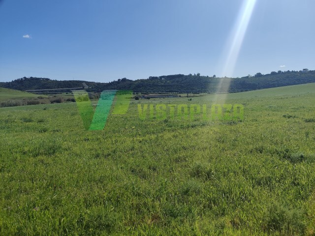 Terreno R�stico - Bensafrim, Lagos, Faro (Algarve) - Imagem grande