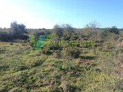 Terreno Rstico - Silves, Silves, Faro (Algarve) - Miniatura: 4/7