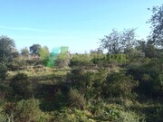 Terreno Rstico - Silves, Silves, Faro (Algarve) - Miniatura: 5/7