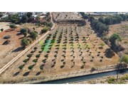 Terreno Urbano - Odixere, Lagos, Faro (Algarve) - Miniatura: 2/9