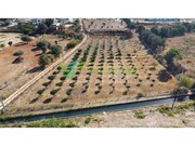 Terreno Urbano - Odixere, Lagos, Faro (Algarve) - Miniatura: 4/9