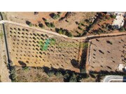 Terreno Urbano - Odixere, Lagos, Faro (Algarve) - Miniatura: 9/9