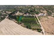 Terreno Urbano - Mexilhoeira Grande, Portim�o, Faro (Algarve) - Miniatura: 2/9