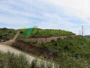 Terreno R�stico - Alferce, Monchique, Faro (Algarve) - Miniatura: 7/9